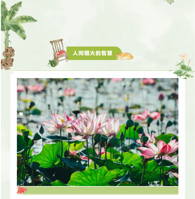 image.png?v=1785016524673