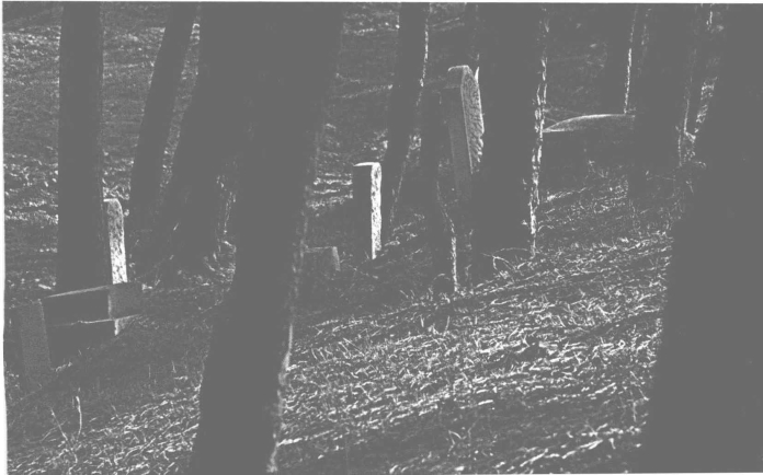 pagenumber_ebook=224,pagenumber_book=221