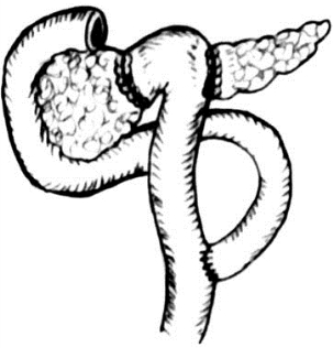 pagenumber_ebook=580,pagenumber_book=565