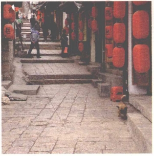 pagenumber_ebook=135,pagenumber_book=127