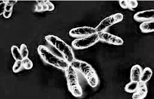 pagenumber_ebook=41,pagenumber_book=41