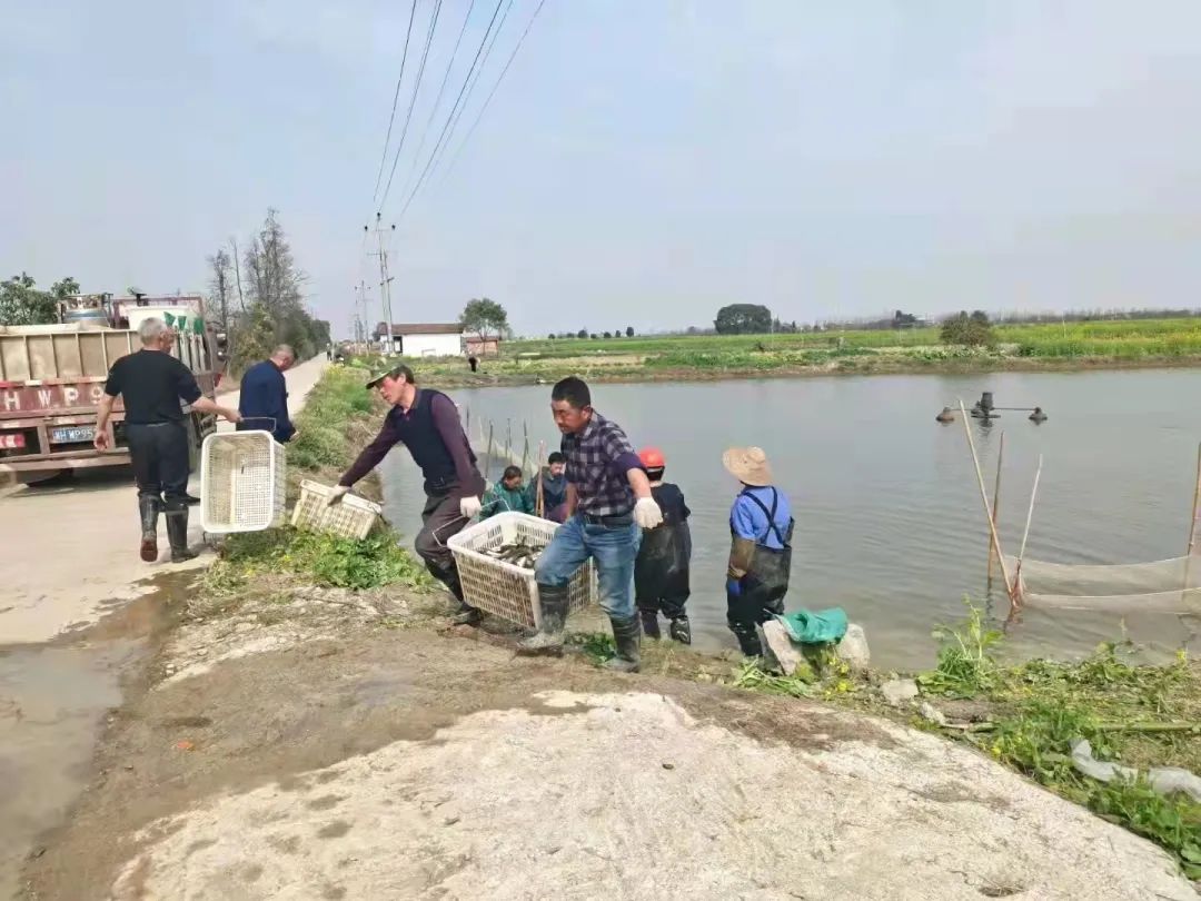 1 1.jpg?v=1765946308804