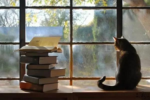 微信图片_20201217150315 微信图片_20201217150315.jpg