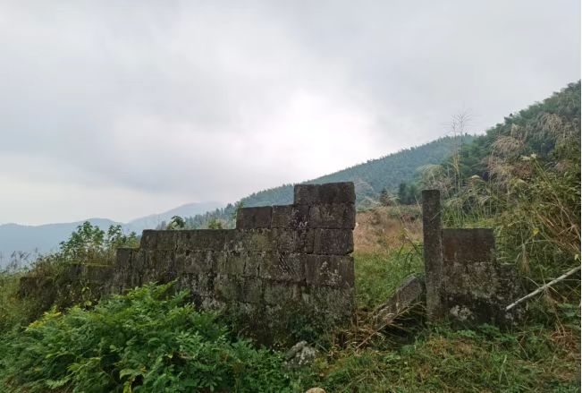 微信图片_20241128165500