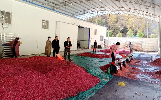 d7781457b4b46f8803a7f8b88dae0ea d7781457b4b46f8803a7f8b88dae0ea.png