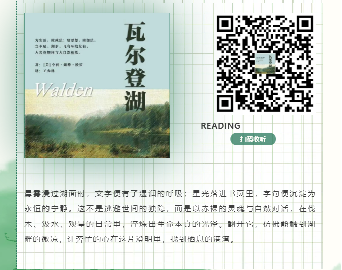 image.png?v=1757830895188