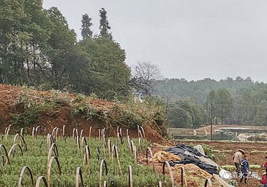 1 1.jpg?v=1765960091142