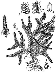 pagenumber_ebook=288,pagenumber_book=288