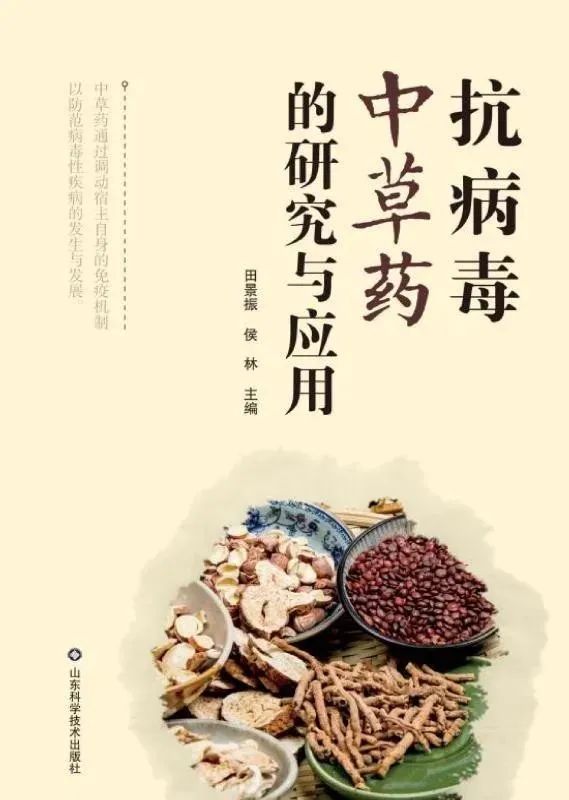 7 7.jpg?v=1762663792279