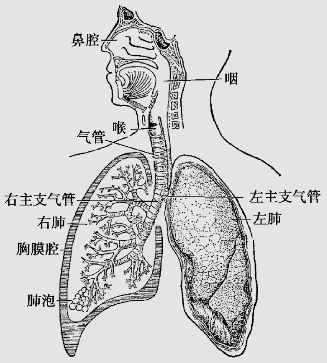 pagenumber_ebook=33,pagenumber_book=20