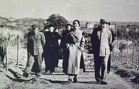 20171105204918_wbiweo0wym 20171105204918_wbiweo0wym.png?v=1769793594106