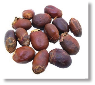 pagenumber_ebook=144,pagenumber_book=131