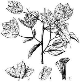 pagenumber_ebook=182,pagenumber_book=182