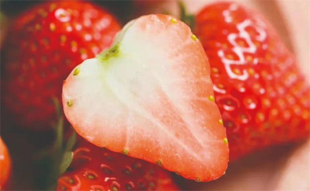 ddb1922f8faf8d3e623a07d099198f4c ddb1922f8faf8d3e623a07d099198f4c.jpg