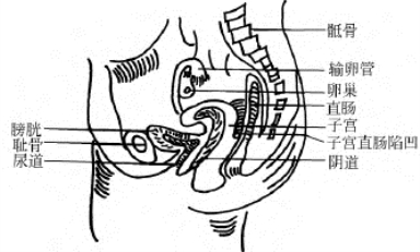 pagenumber_ebook=676,pagenumber_book=676