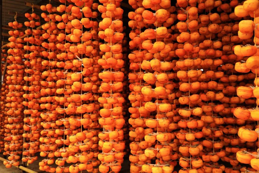 微信图片_20200929084423 微信图片_20200929084423.jpg