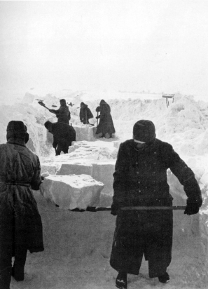 pagenumber_ebook=239,pagenumber_book=235