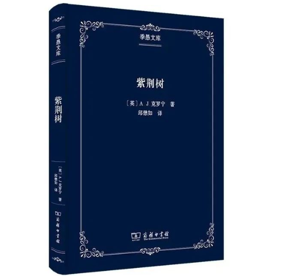 image image.png?v=1762154840537