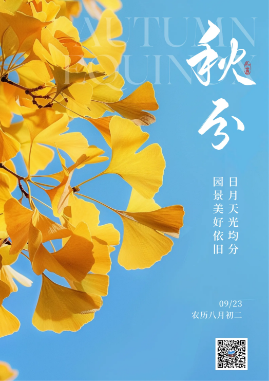 image.png?v=1759570115931