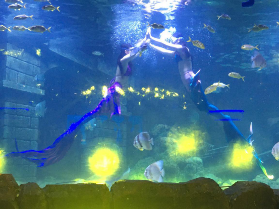 “百座戏台千场戏”文化惠民演出活动372