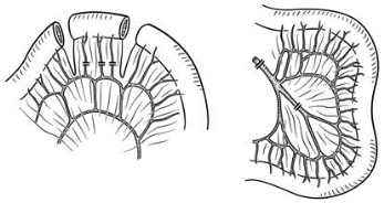 pagenumber_ebook=366,pagenumber_book=351
