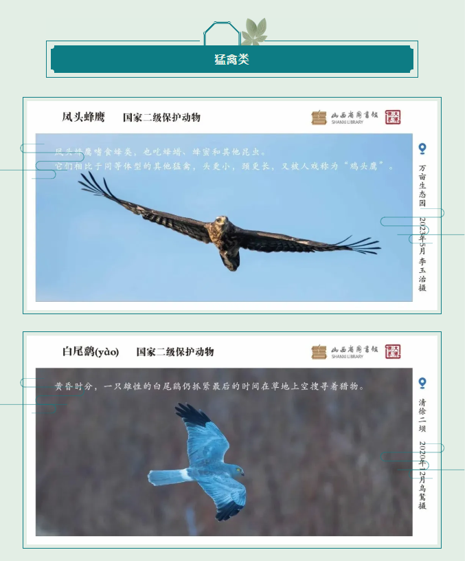 image.png?v=1757830673198