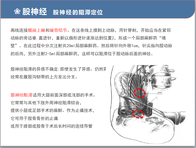 9.16 股神经阻滞2.png