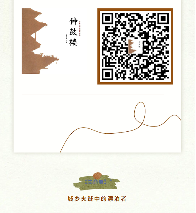 image.png?v=1766232885583