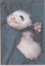 pagenumber_ebook=174,pagenumber_book=160