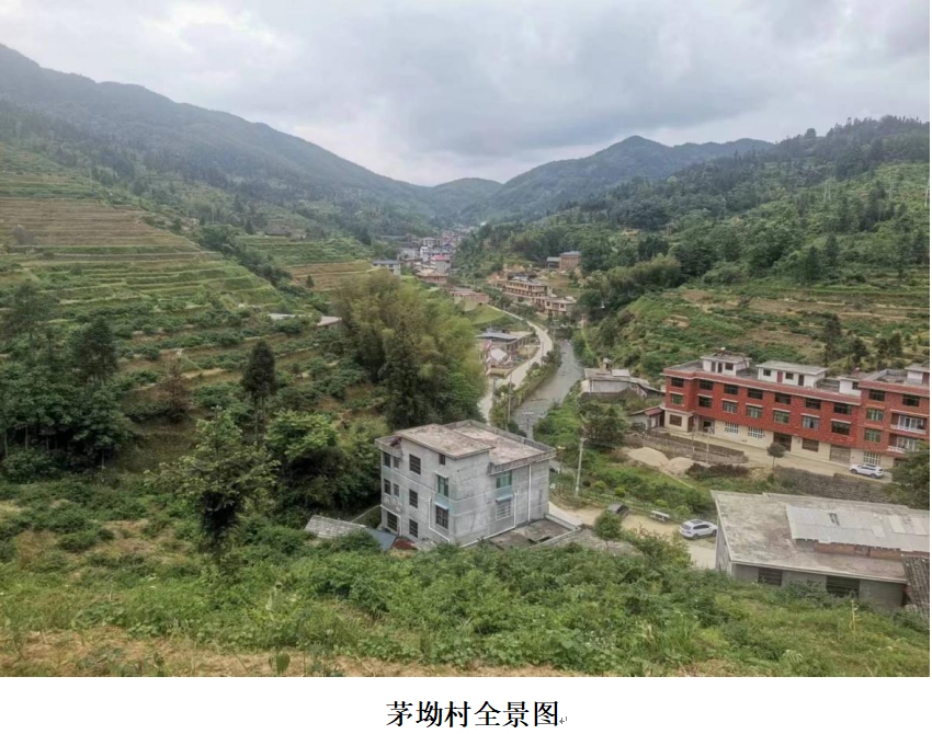 1732260513069 1732260513069.png