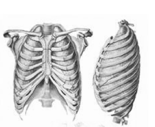 pagenumber_ebook=33,pagenumber_book=19