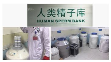 人类精子冷冻技术.JPG