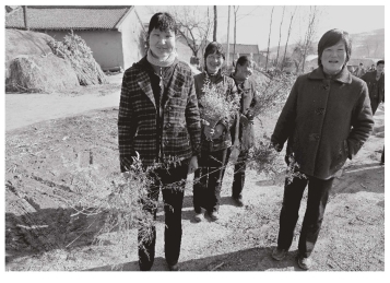 pagenumber_ebook=251,pagenumber_book=245