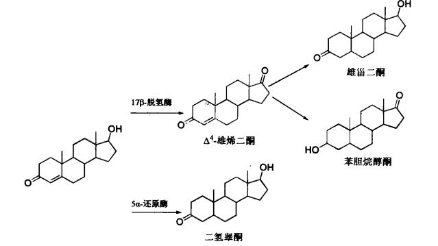 pagenumber_ebook=415,pagenumber_book=397