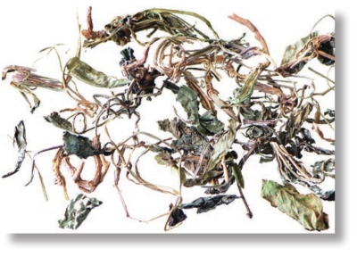 pagenumber_ebook=55,pagenumber_book=42