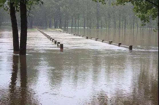 微信图片_20210113110410 微信图片_20210113110410.jpg