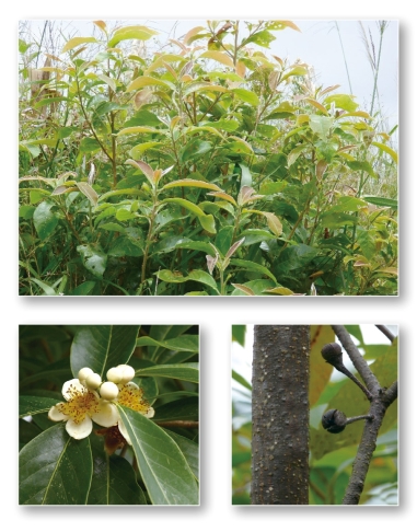 pagenumber_ebook=223,pagenumber_book=207