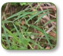 pagenumber_ebook=204,pagenumber_book=191