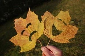 7f3bf046ade7f167a82c420d85db9e7c 7f3bf046ade7f167a82c420d85db9e7c.jpg