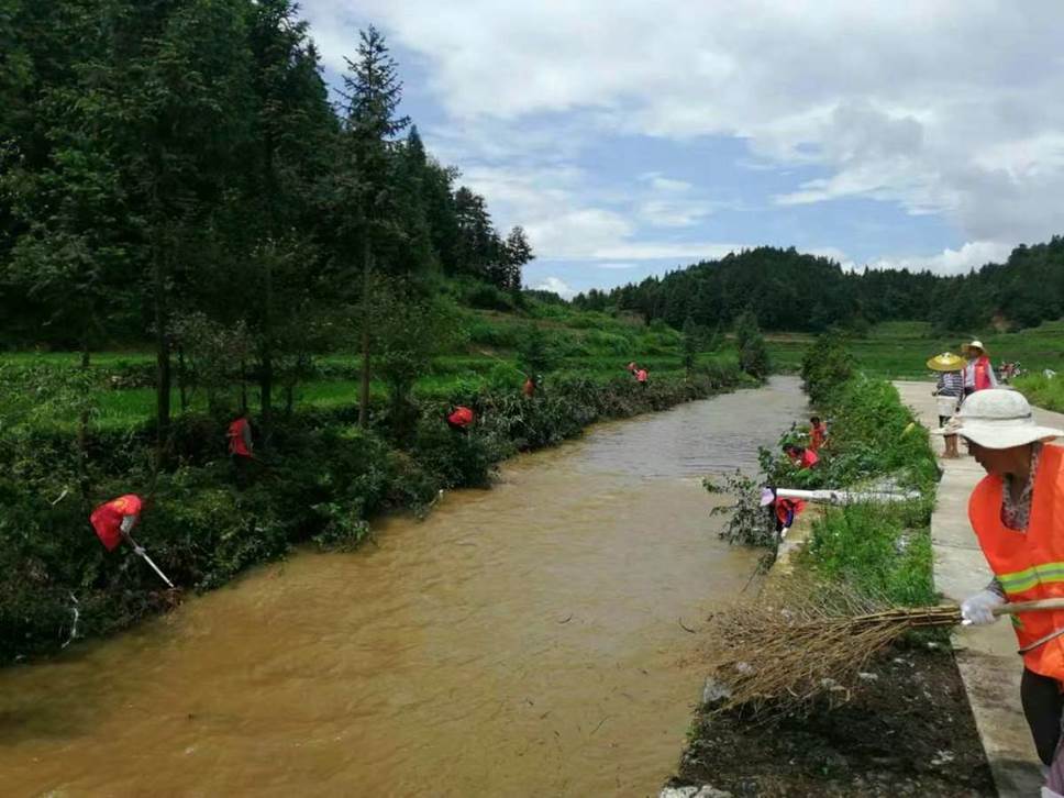 image010 image010.jpg