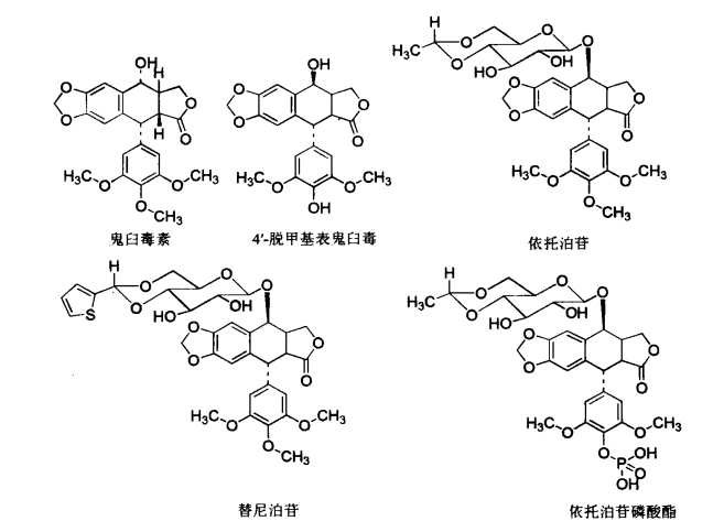 pagenumber_ebook=378,pagenumber_book=360