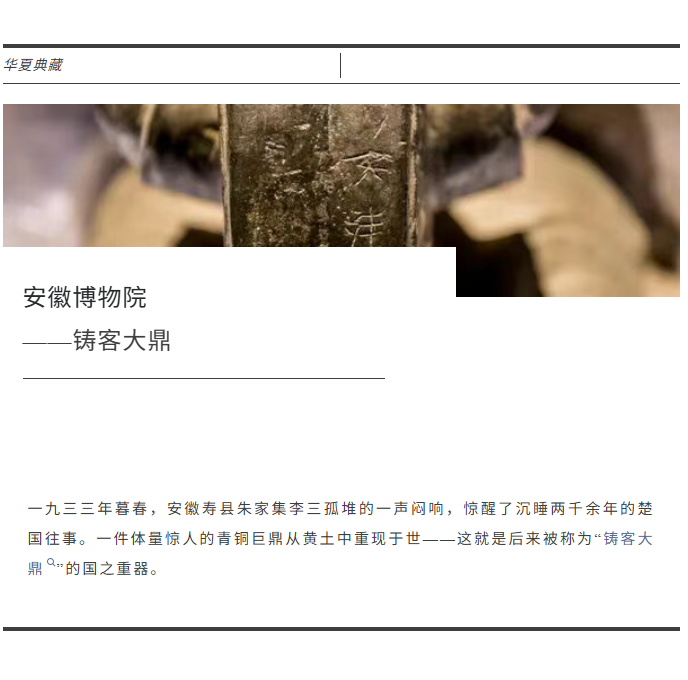 image.png?v=1782174036605