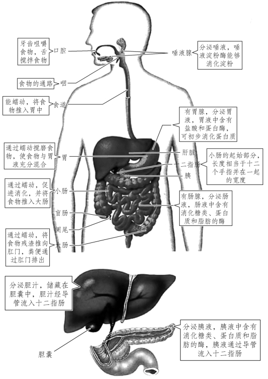 pagenumber_ebook=11,pagenumber_book=4