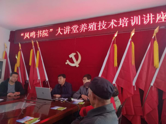 image image.png?v=1764882750590