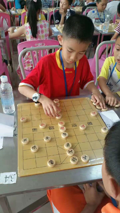 12.jpg?v=1772875453522