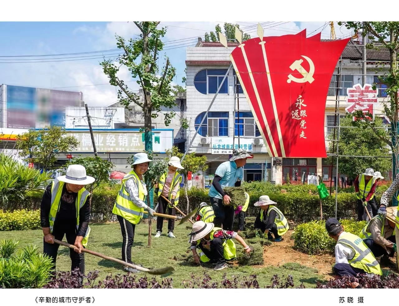 城固《辛勤的城市守护者》苏晓 摄.jpg?v=1746355577736