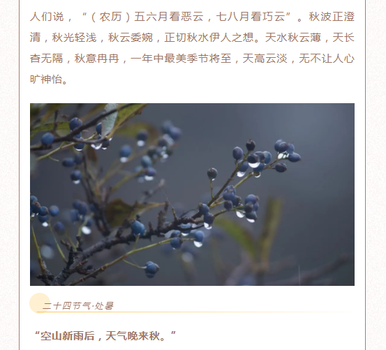 image.png?v=1750237167764