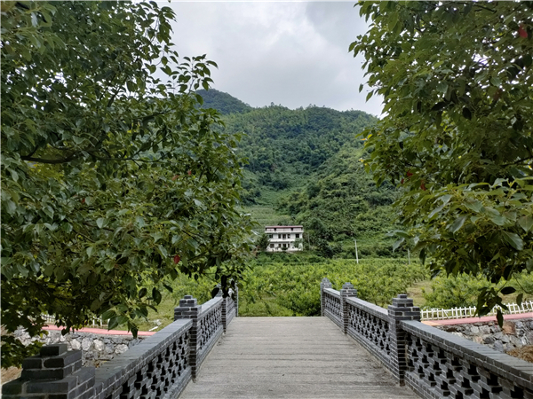 微信图片_20230714205339 微信图片_20230714205339.jpg