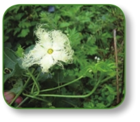 pagenumber_ebook=209,pagenumber_book=196