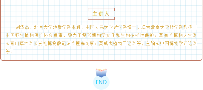 image.png?v=1782179470360